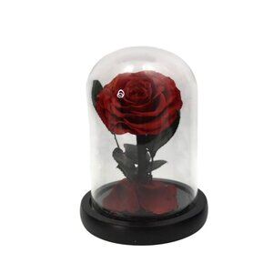 Preserved Red Rose In Glass Dome With Black Base and Gift Box